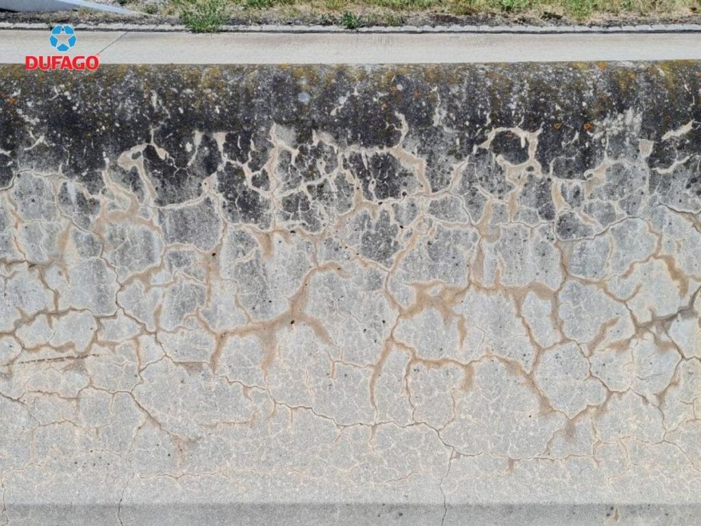 nứt bê tông do phản ứng kiềm silic tạo mạng nứt