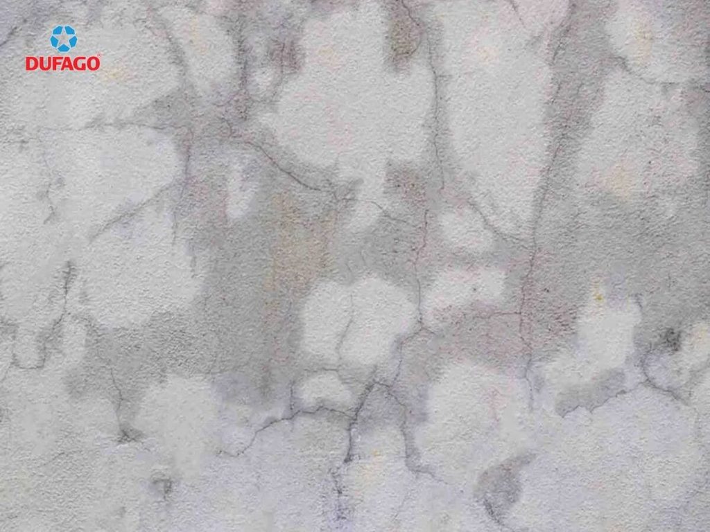 nứt chân chim trên bề mặt bê tông dạng mạng lưới nhỏ